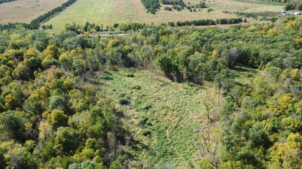 TBD Jeff Lake Road Richville, MN 56576