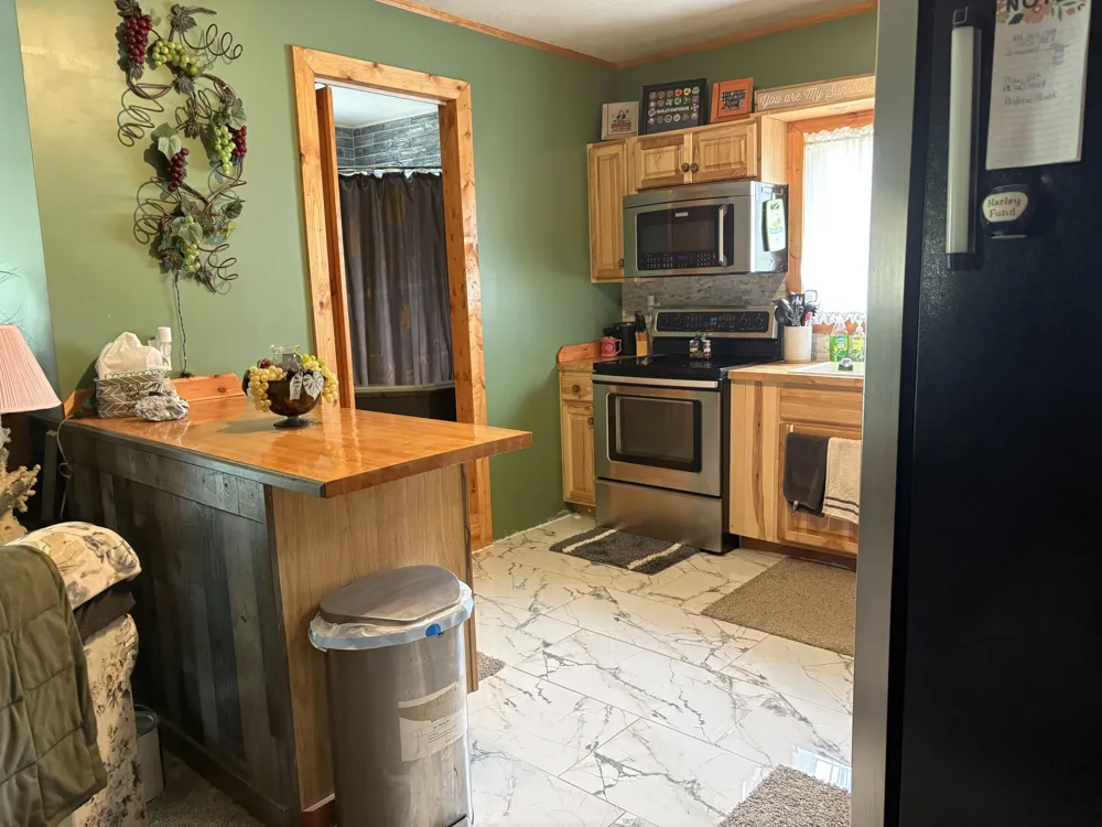8774 S Star Lake Drive Baldwin, MI 49304