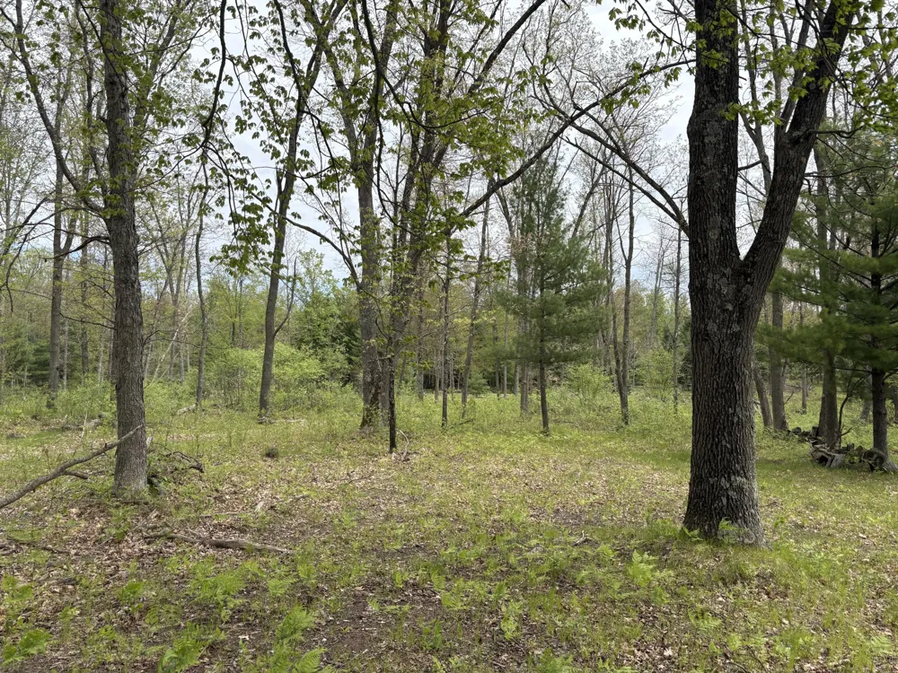 8774 S Star Lake Drive Baldwin, MI 49304