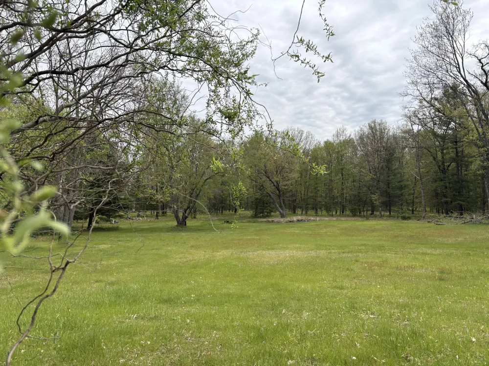 8774 S Star Lake Drive Baldwin, MI 49304