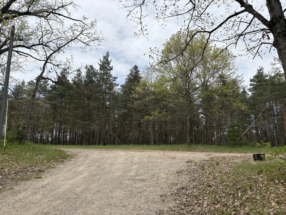8774 S Star Lake Drive Baldwin, MI 49304