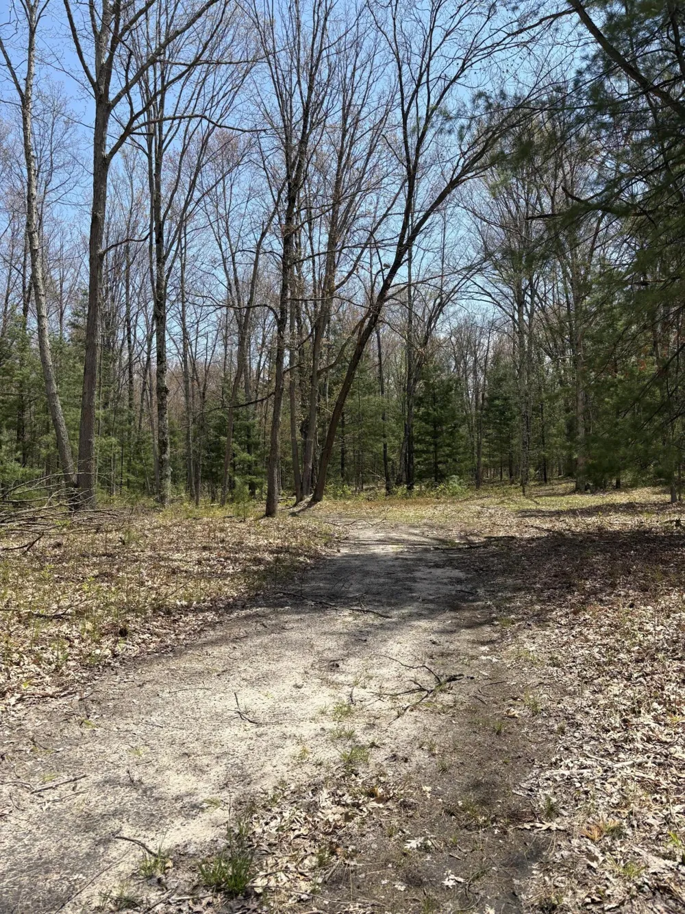 8774 S Star Lake Drive Baldwin, MI 49304