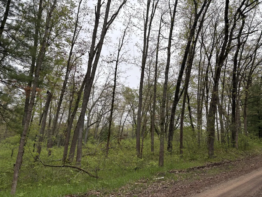 8774 S Star Lake Drive Baldwin, MI 49304