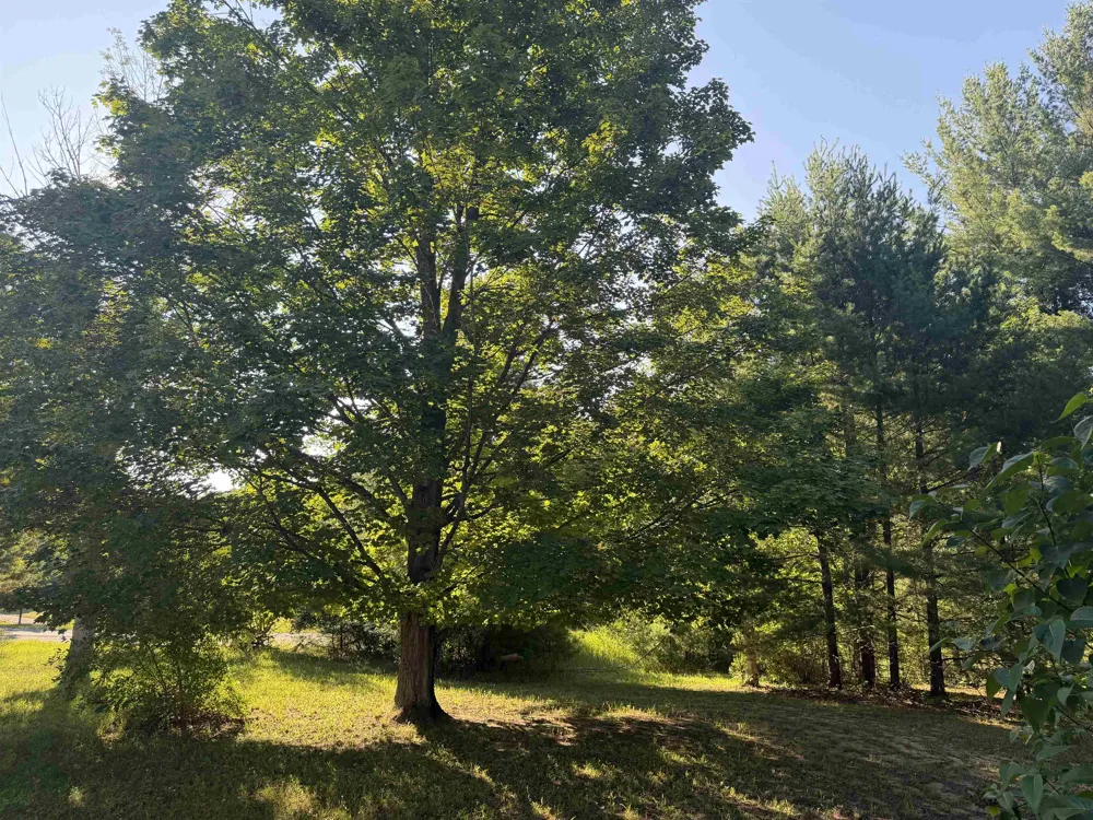 6296 Reynolds Road Almira Township, MI 49650