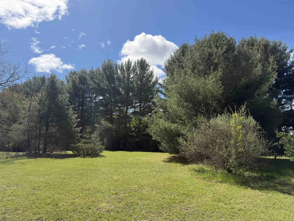 6296 Reynolds Road Almira Township, MI 49650