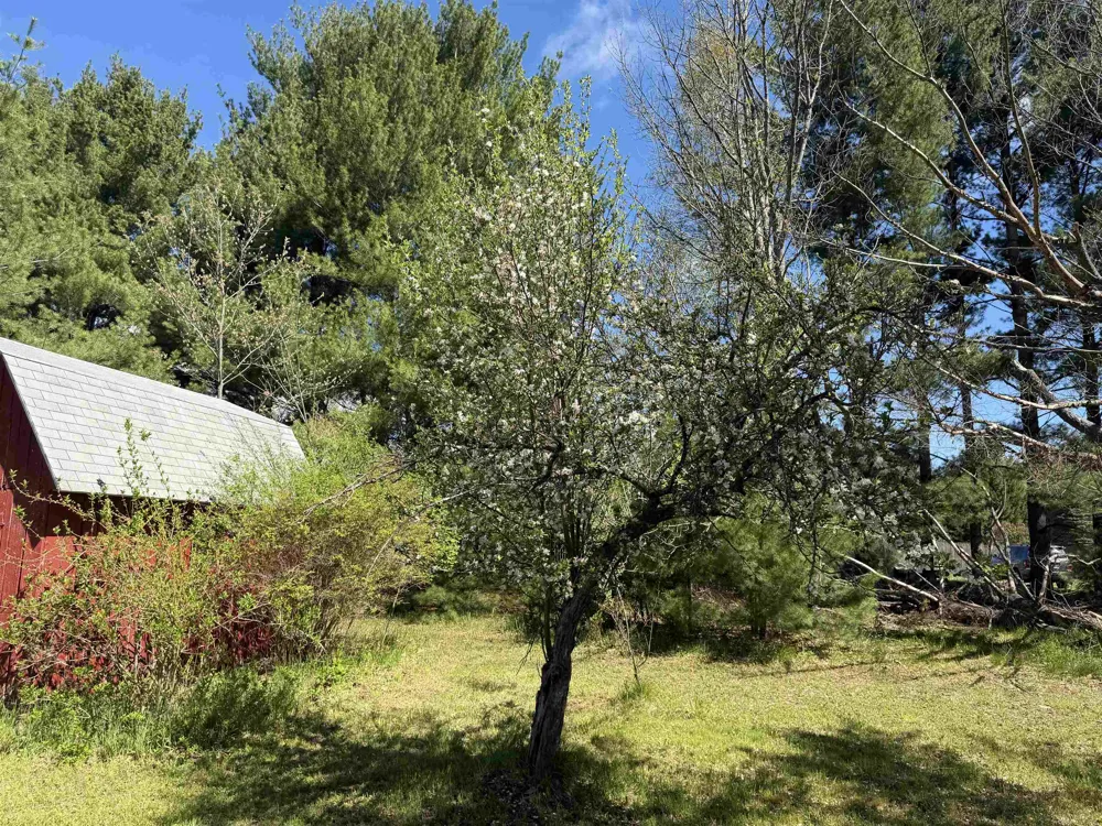 6296 Reynolds Road Almira Township, MI 49650