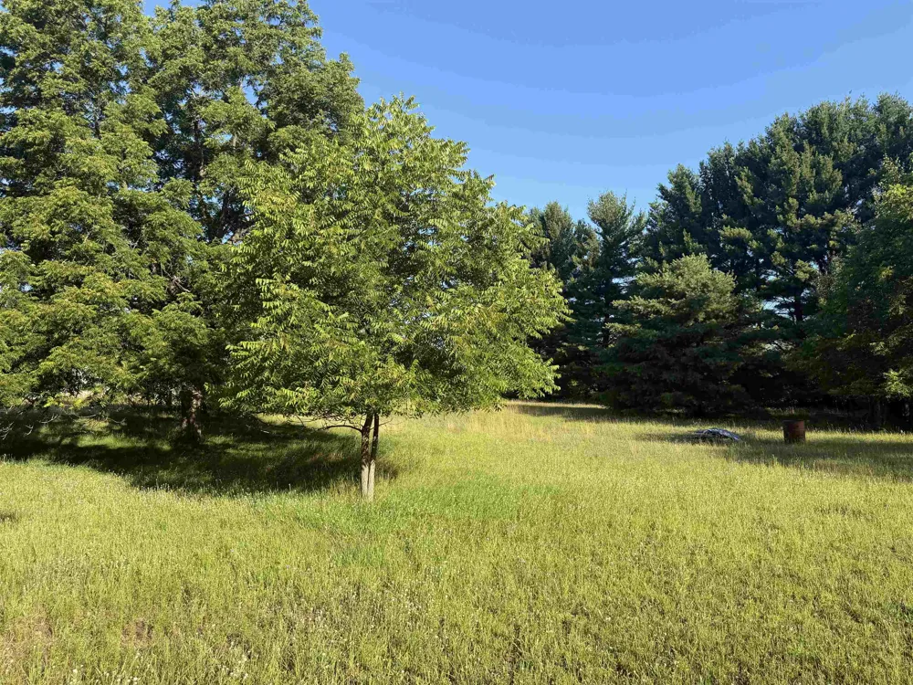 6296 Reynolds Road Almira Township, MI 49650