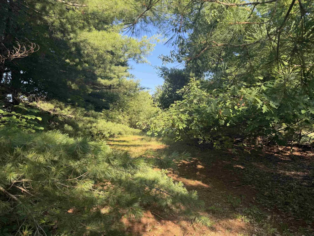 6296 Reynolds Road Almira Township, MI 49650