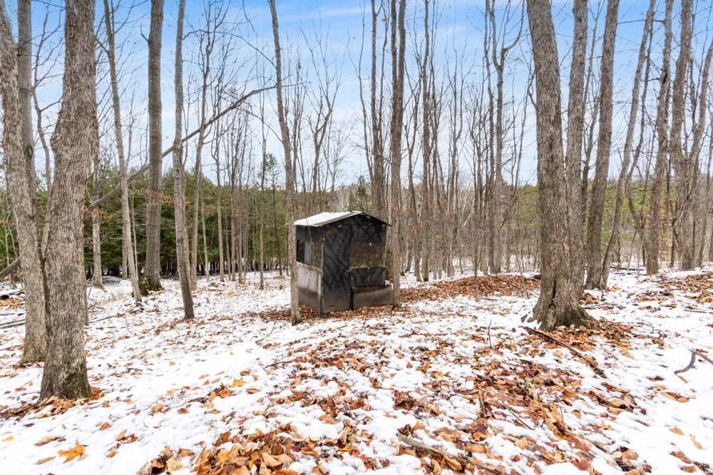 130 S Peninsula South Arm Township, MI 49727
