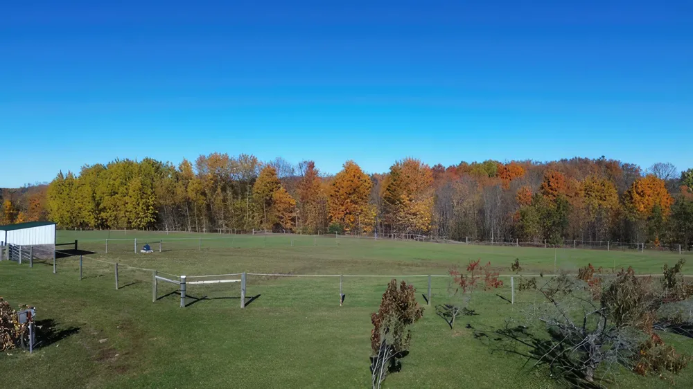 130 S Peninsula South Arm Township, MI 49727