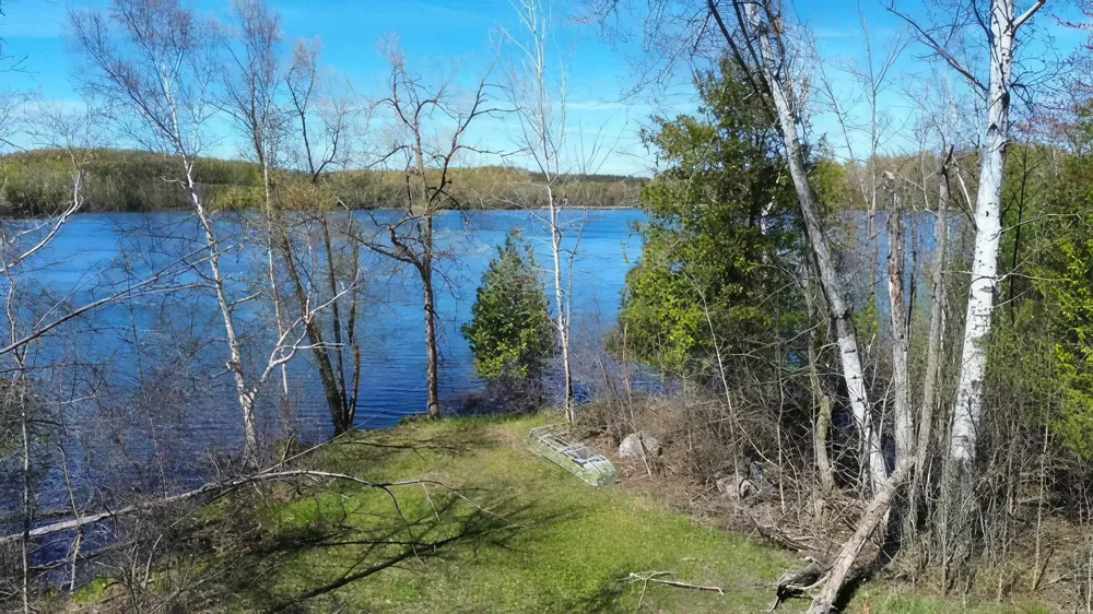 130 S Peninsula South Arm Township, MI 49727