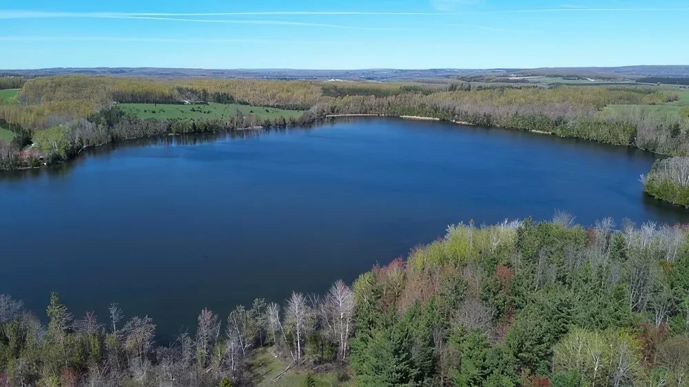 130 S Peninsula South Arm Township, MI 49727