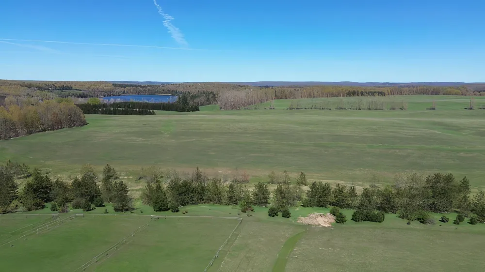 130 S Peninsula South Arm Township, MI 49727