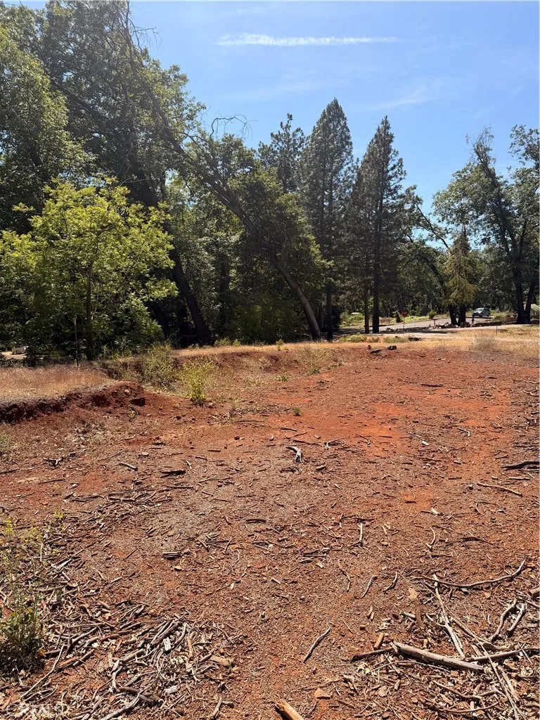 13457 Achilles Court Magalia, CA 95954