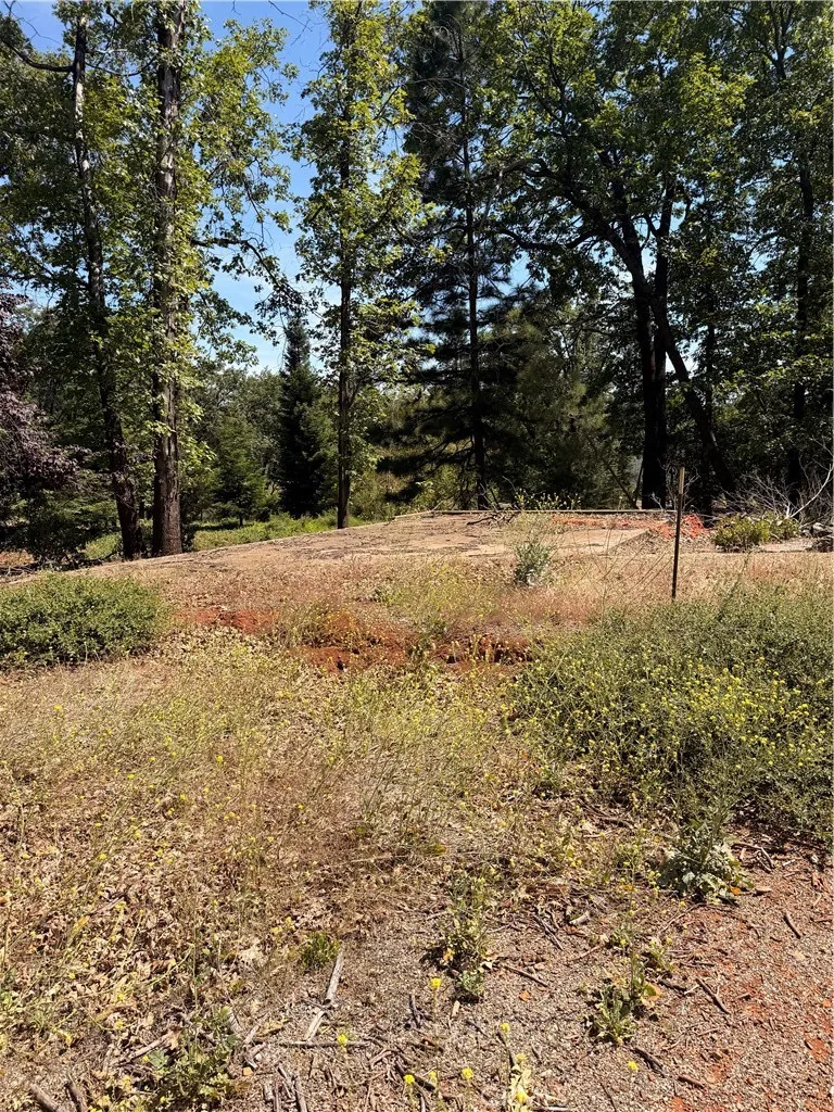 13457 Achilles Court Magalia, CA 95954