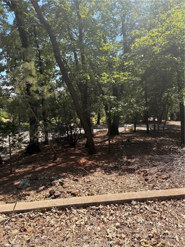 13457 Achilles Court Magalia, CA 95954
