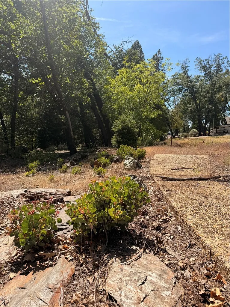 13457 Achilles Court Magalia, CA 95954