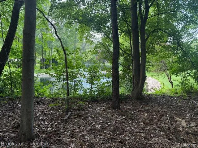 1 Lilac Lane Shelby Charter Township, MI 48315