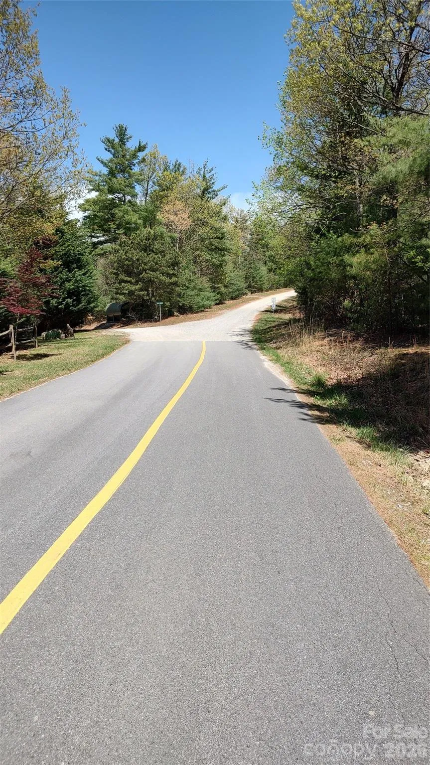 0 Staghorn Road Purlear, NC 28665
