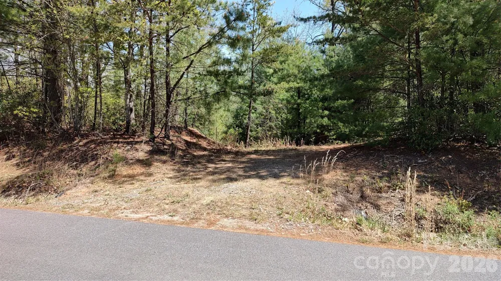 0 Staghorn Road Purlear, NC 28665