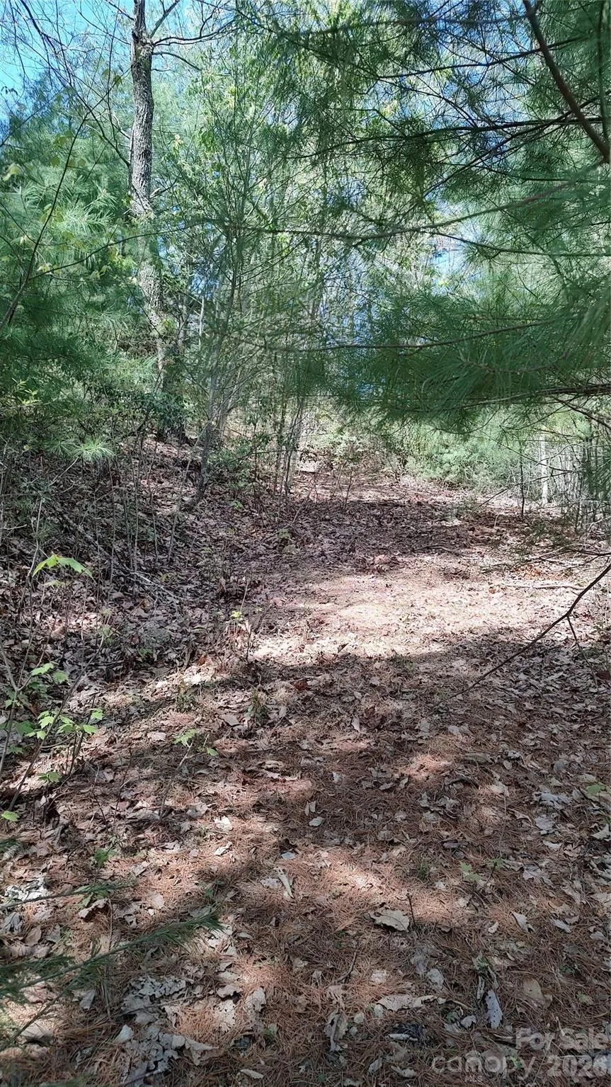 0 Staghorn Road Purlear, NC 28665