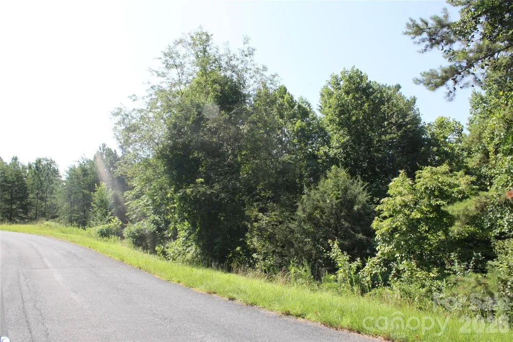 Lot #28 Lake Adger Parkway Mill Spring, NC 28756