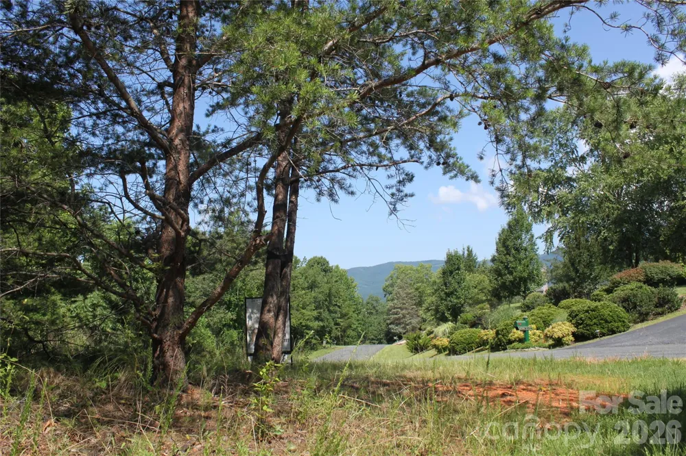 Lot #28 Lake Adger Parkway Mill Spring, NC 28756