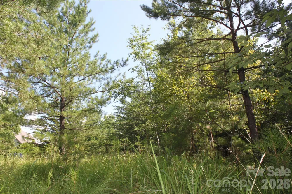 Lot #28 Lake Adger Parkway Mill Spring, NC 28756