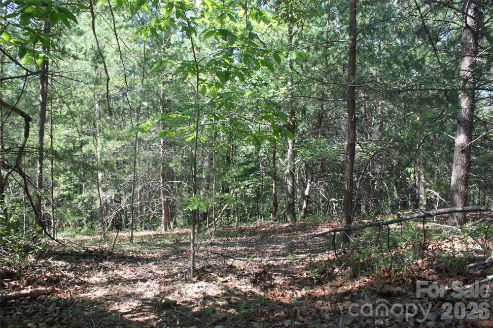 Lot #28 Lake Adger Parkway Mill Spring, NC 28756