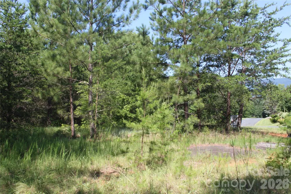 Lot #28 Lake Adger Parkway Mill Spring, NC 28756