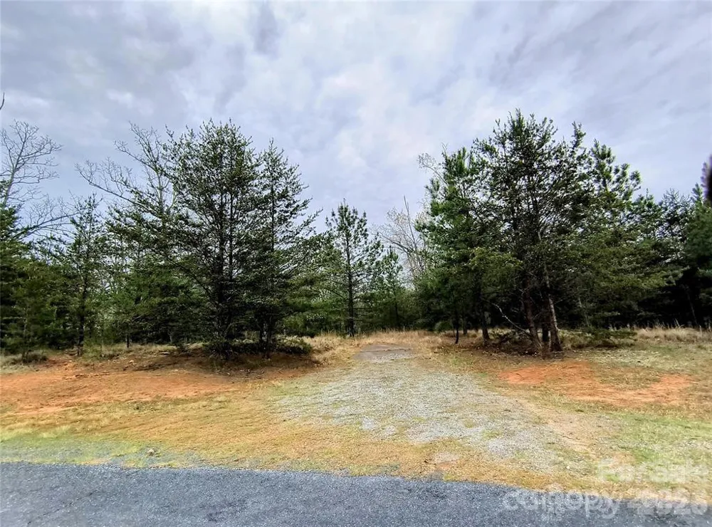 Lot #28 Lake Adger Parkway Mill Spring, NC 28756