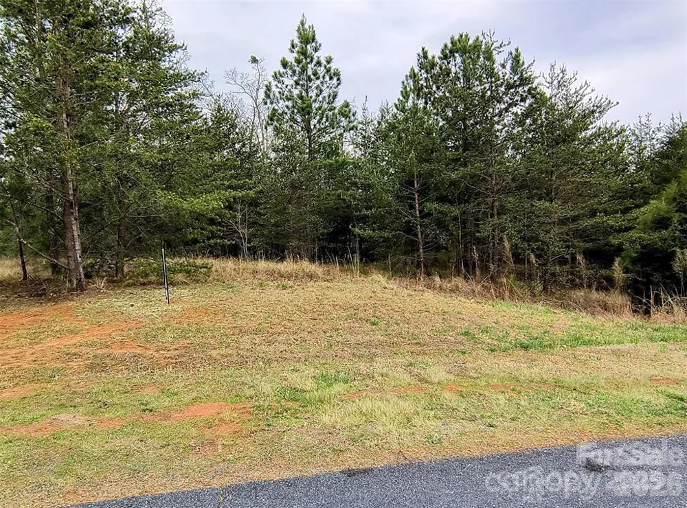 Lot #28 Lake Adger Parkway Mill Spring, NC 28756