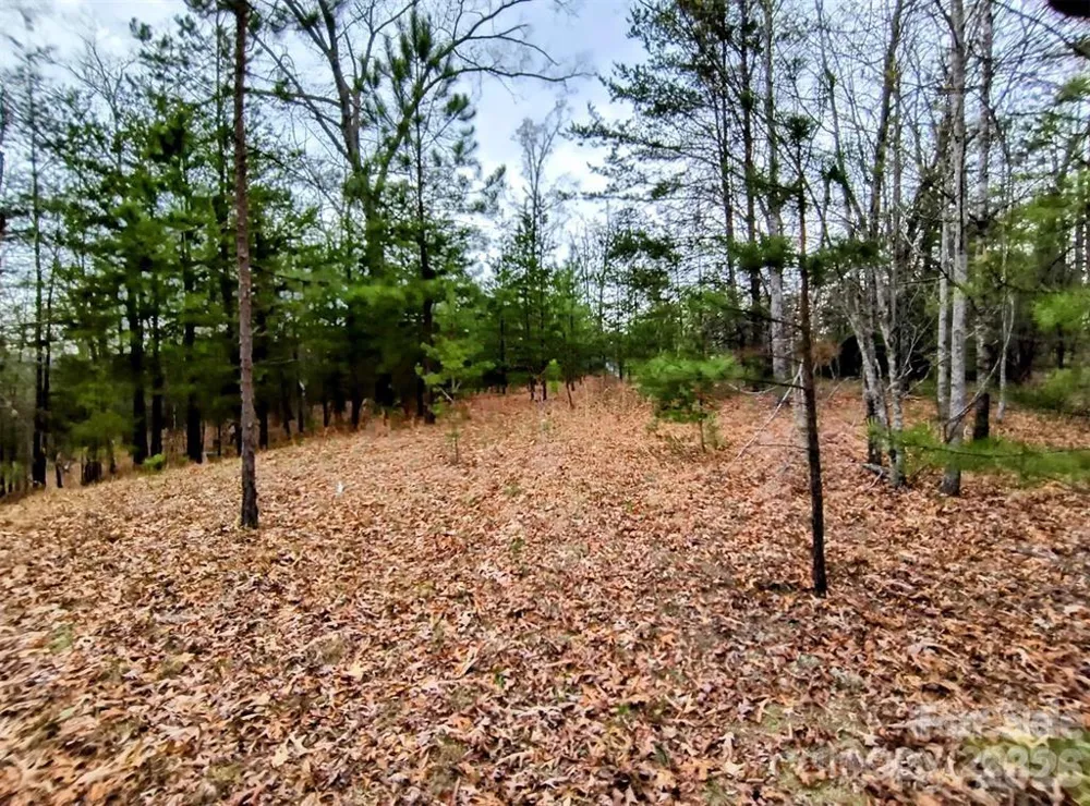 Lot #28 Lake Adger Parkway Mill Spring, NC 28756