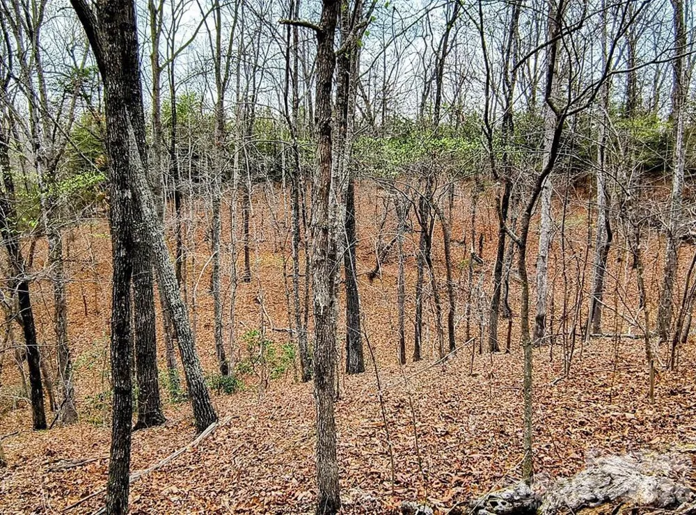Lot #28 Lake Adger Parkway Mill Spring, NC 28756