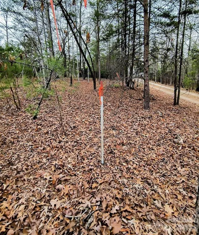 Lot #28 Lake Adger Parkway Mill Spring, NC 28756