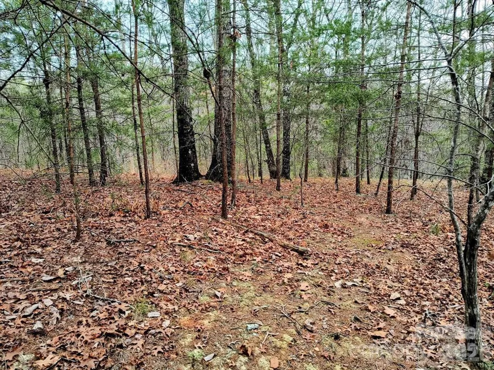 Lot #28 Lake Adger Parkway Mill Spring, NC 28756