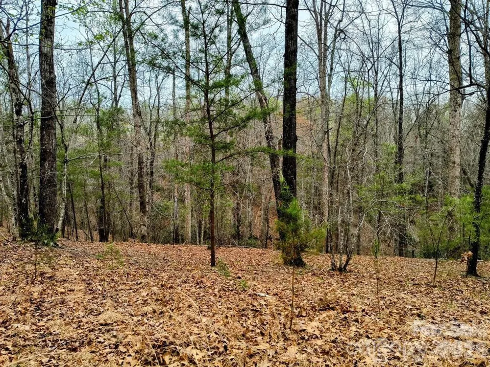 Lot #28 Lake Adger Parkway Mill Spring, NC 28756
