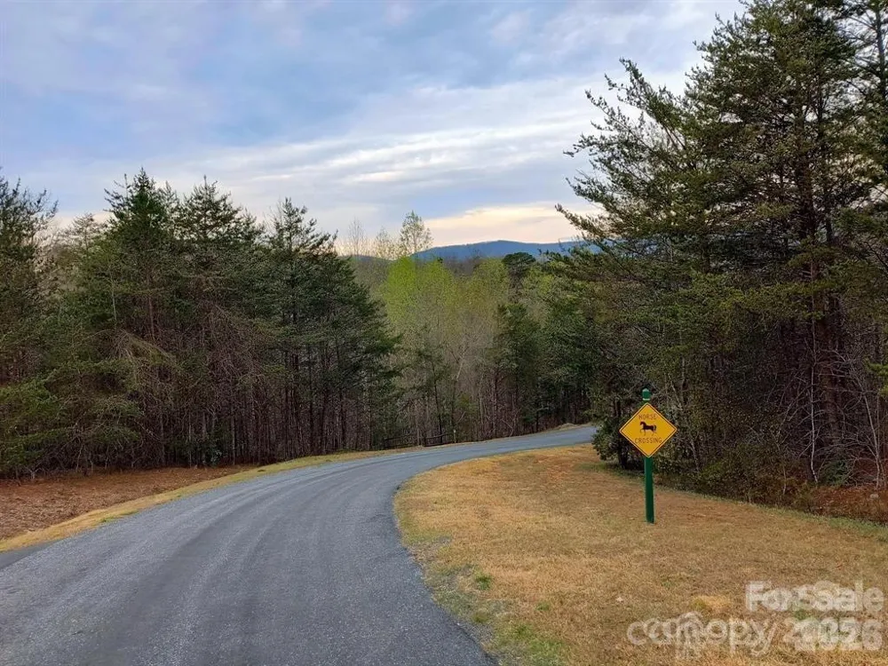Lot #28 Lake Adger Parkway Mill Spring, NC 28756