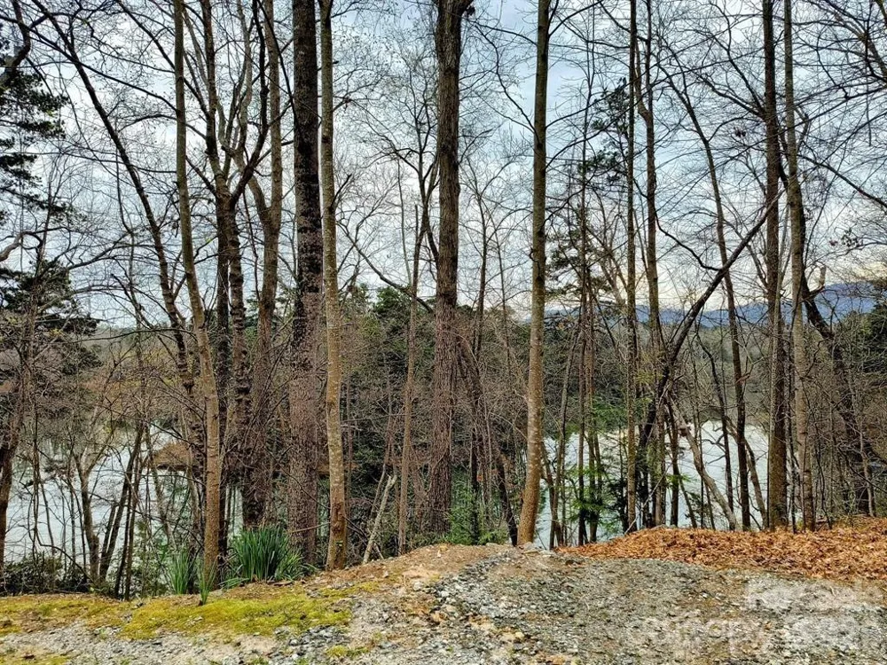 Lot #28 Lake Adger Parkway Mill Spring, NC 28756