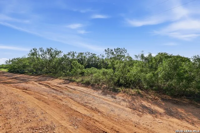 162 PR Heavens Ln Jourdanton, TX 78026