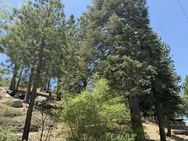 33285 Angeles Green Valley Lake, CA 92341