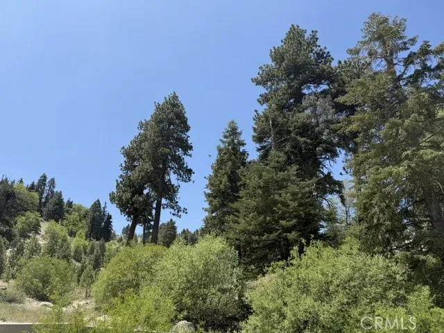 33285 Angeles Green Valley Lake, CA 92341