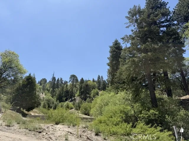 33285 Angeles Green Valley Lake, CA 92341