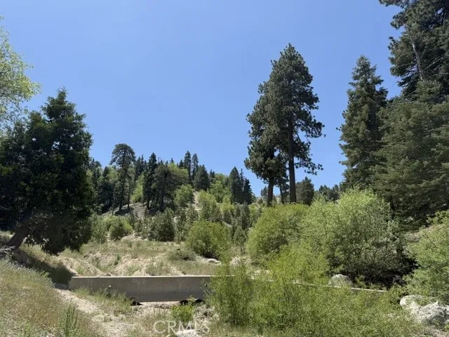 33285 Angeles Green Valley Lake, CA 92341