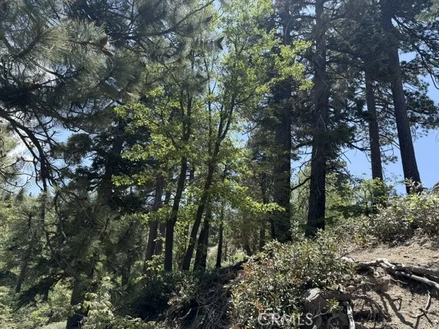 33285 Angeles Green Valley Lake, CA 92341