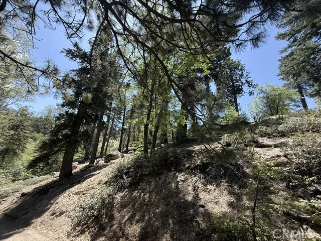 33285 Angeles Green Valley Lake, CA 92341