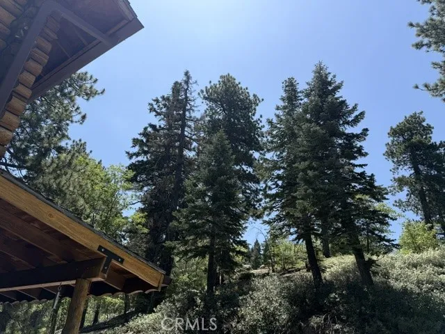 33285 Angeles Green Valley Lake, CA 92341