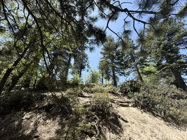 33285 Angeles Green Valley Lake, CA 92341