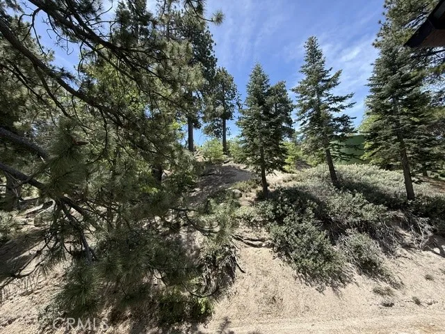 33285 Angeles Green Valley Lake, CA 92341