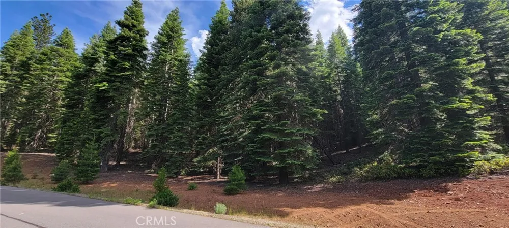 233 Snowy Peak Lake Almanor, CA 96137